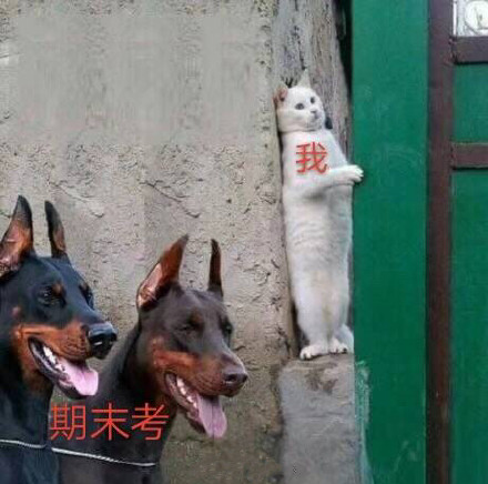 期末考.jpg