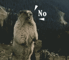 7338b8a0870422a72dec7079a5d2841d_006r3PQBjw1f9idf4oxmug306m05sq9a.gif