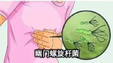 幽门螺旋杆菌.png