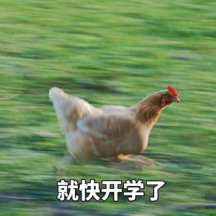 就快开学了.jpg
