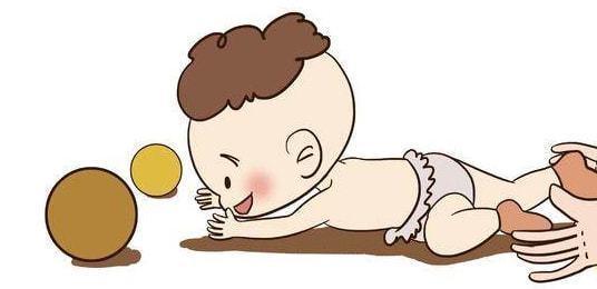 运动发育 (3).jpg